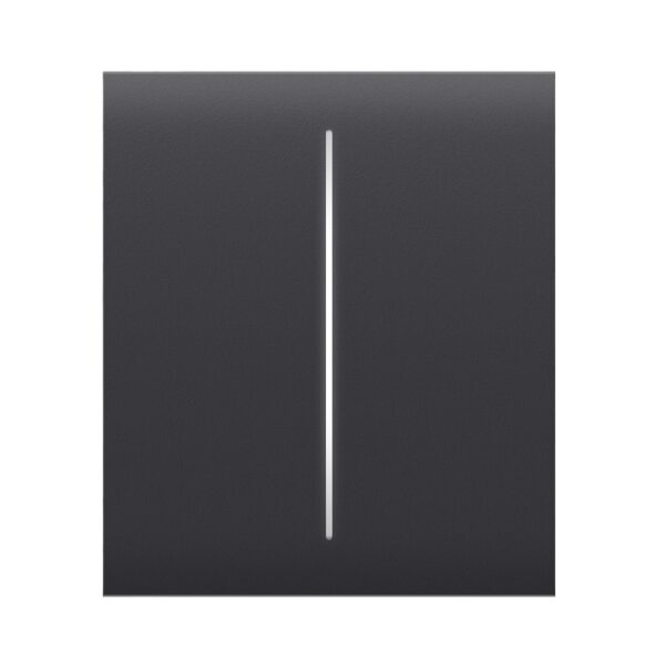 Buton central pentru circuit dublu Ajax CenterButton 2-gang Grafit